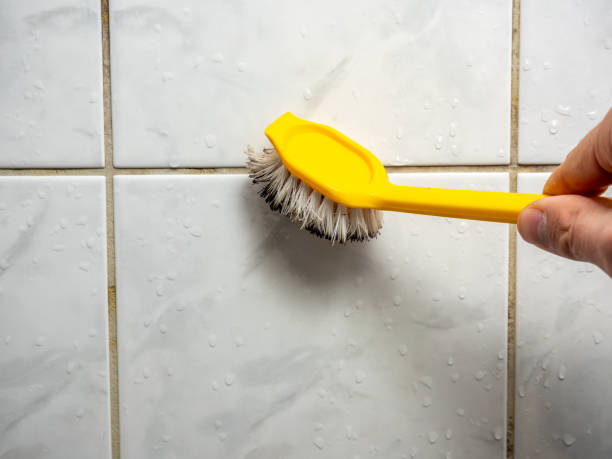 Best Best Mold Removal Companies  in Milbank, SD