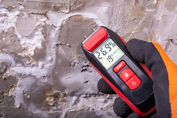 Best Crawl Space Mold Removal  in Milbank, SD