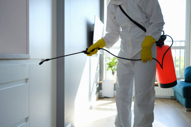 Best Mold Removal Process  in Milbank, SD