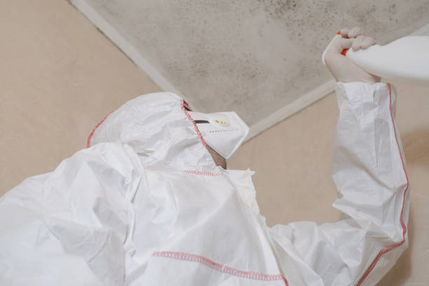 Best Emergency Mold Removal  in Milbank, SD