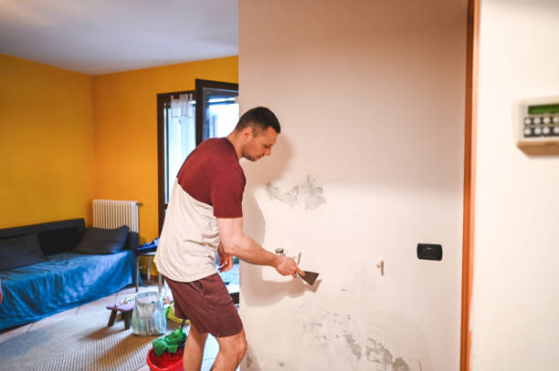 Best Fast Mold Removal  in Milbank, SD